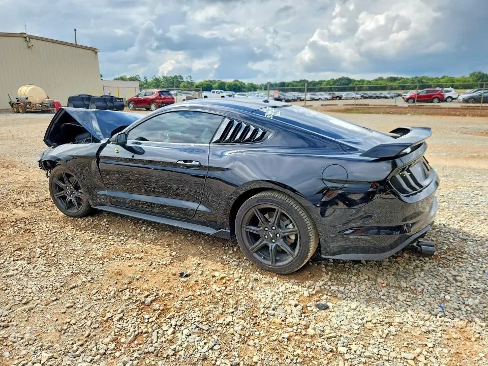 2019 FORD MUSTANG   