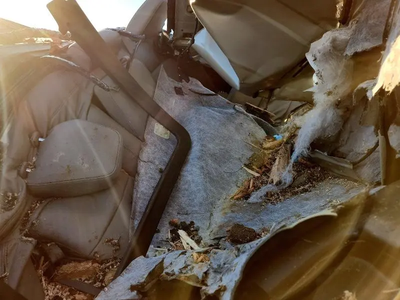 2021 CHEVROLET SILVERADO K1500 RST  