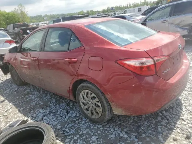 2019 TOYOTA COROLLA L  