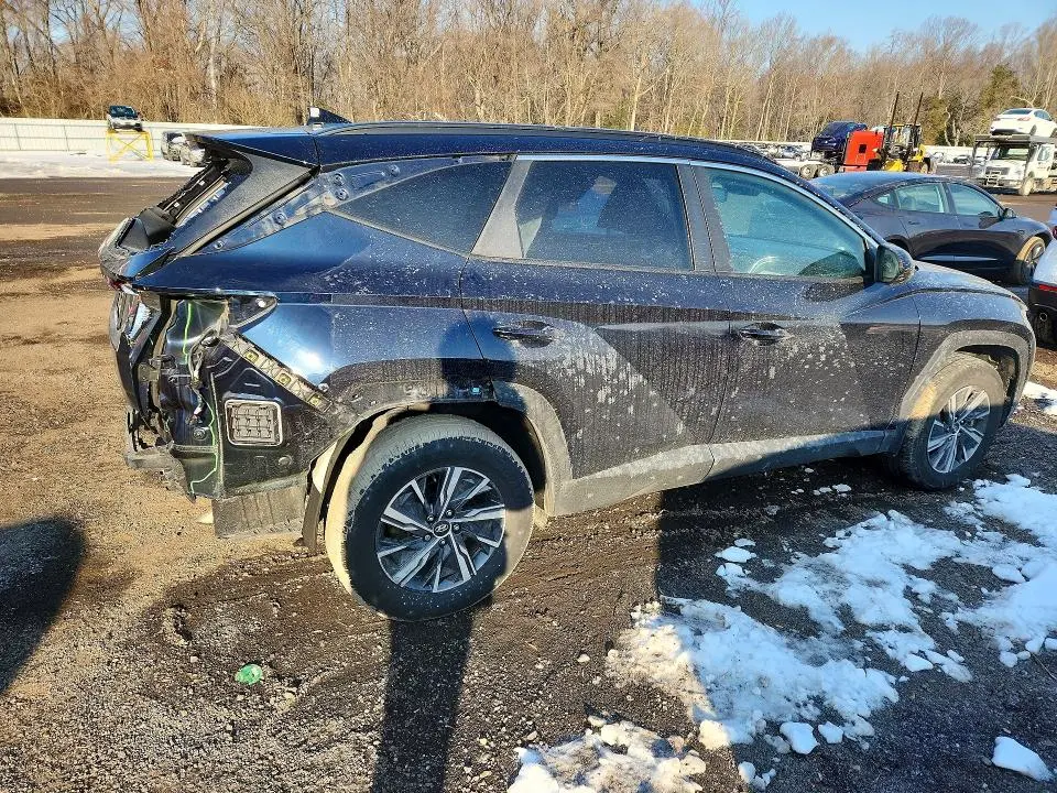 2024 HYUNDAI TUCSON BLUE  