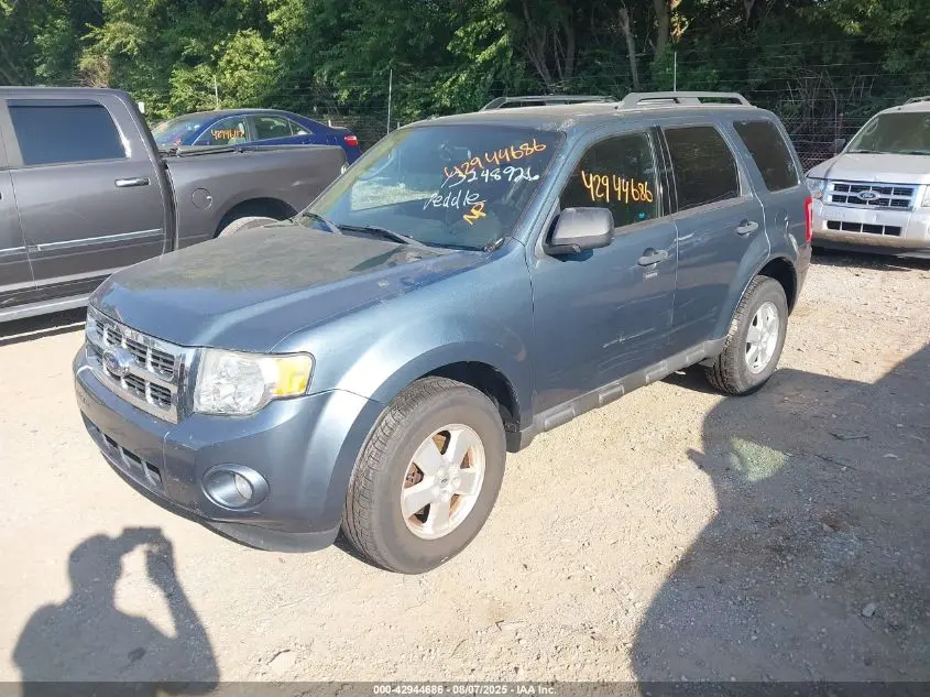 2011 FORD ESCAPE XLT