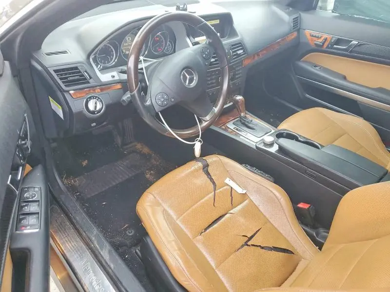 2010 MERCEDES-BENZ E 550  