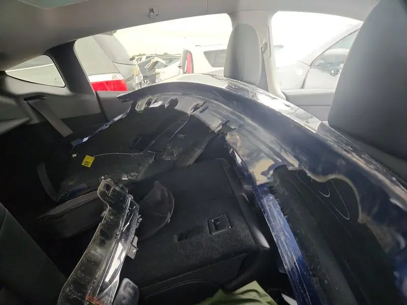 2025 TESLA MODEL Y   