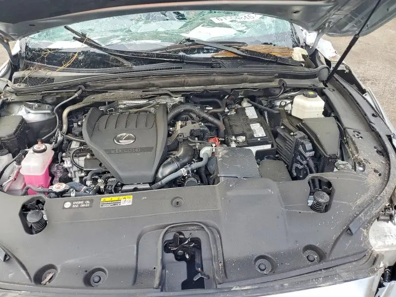 2024 LEXUS RX 350 PREMIUM+  