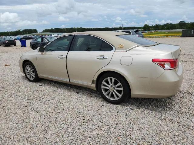 2010 LEXUS ES 350  