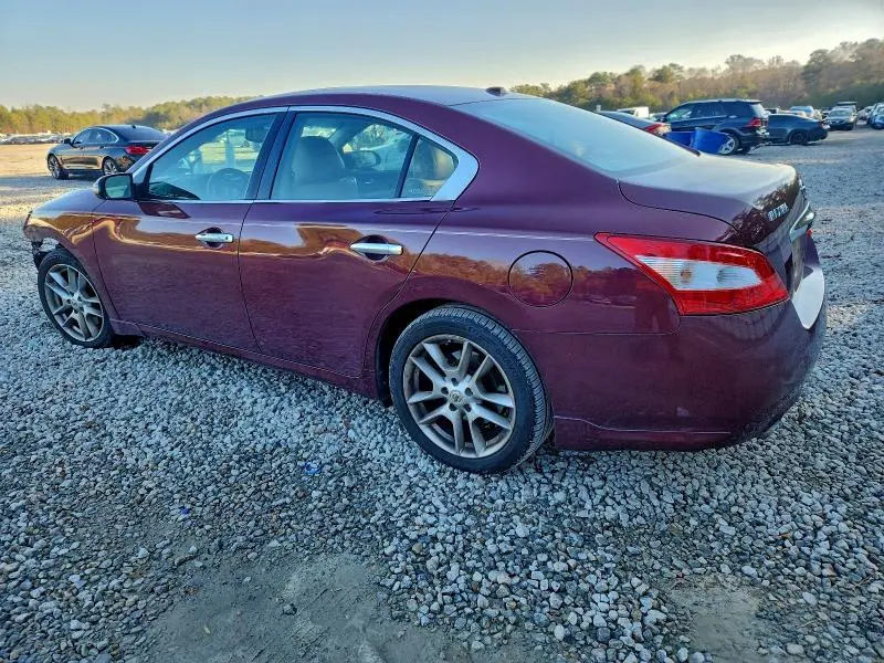2010 NISSAN MAXIMA SV  