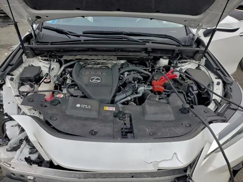 2024 LEXUS NX 350 BASE  