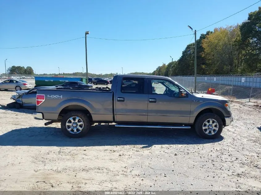 2014 FORD F-150 XLT