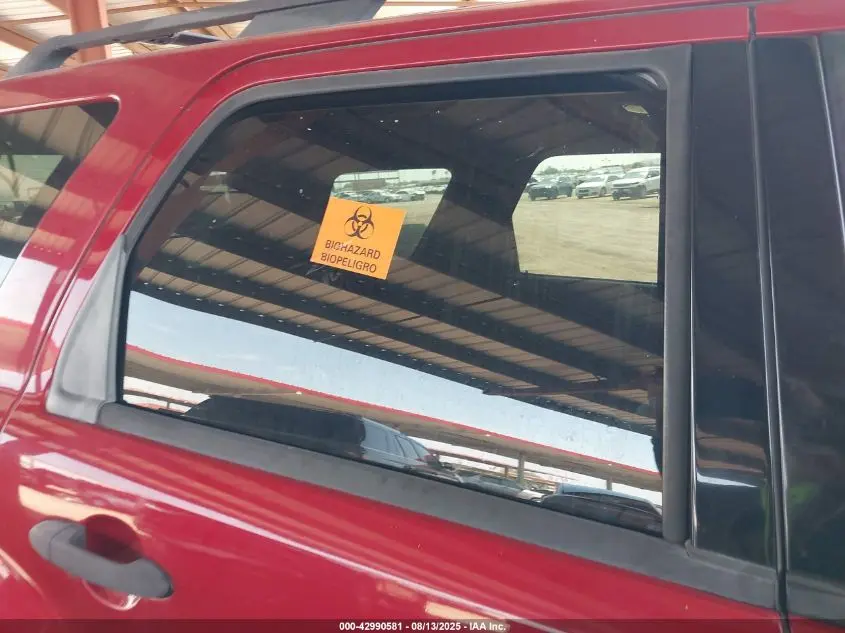 2010 FORD ESCAPE XLT