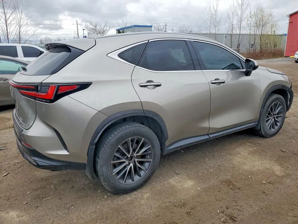 2023 LEXUS NX 250  