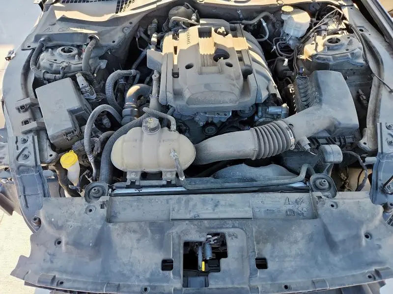 2019 FORD MUSTANG   