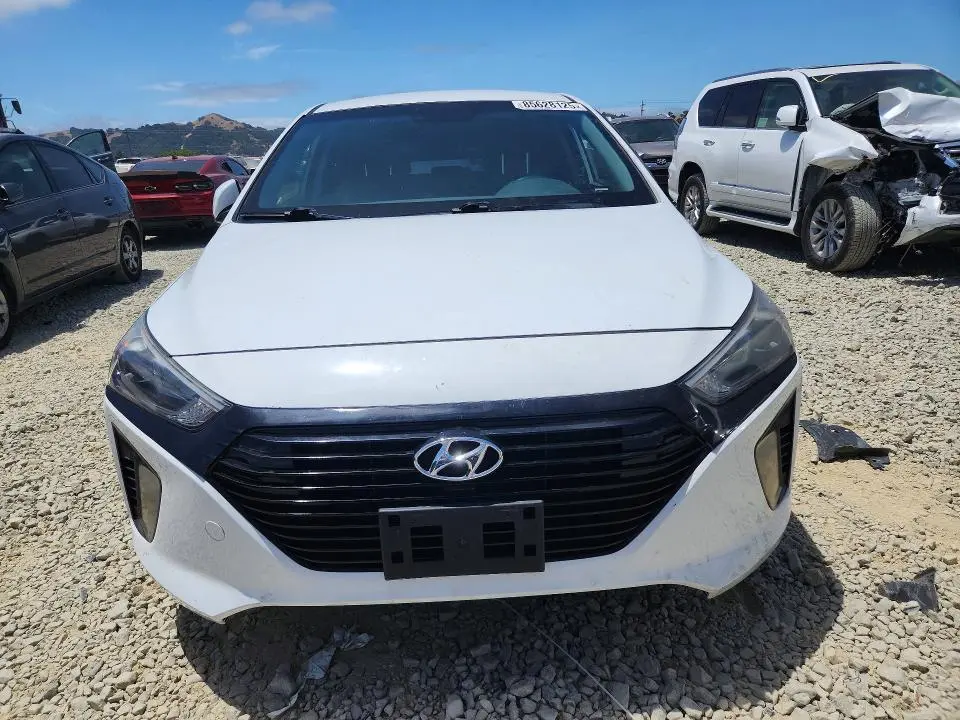 2019 HYUNDAI IONIQ BLUE  