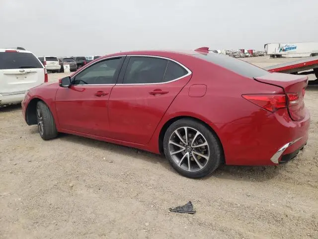 2019 ACURA TLX   