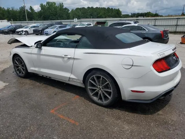 2019 FORD MUSTANG   