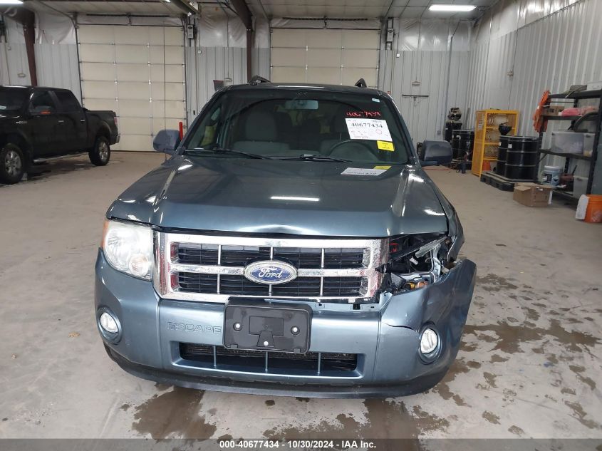 2010 FORD ESCAPE XLT