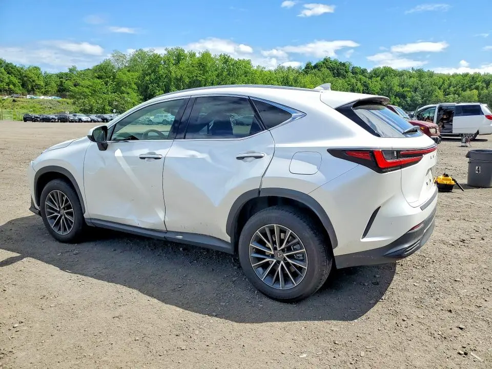 2023 LEXUS NX 250  