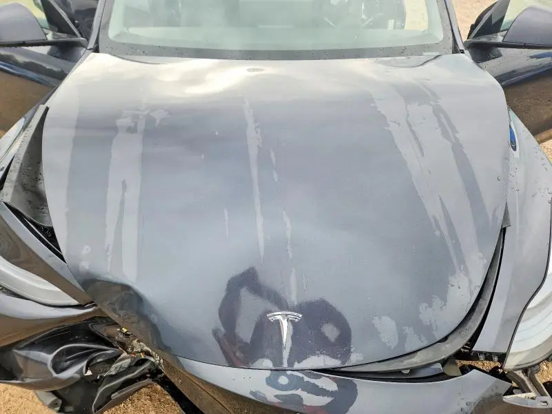 2025 TESLA MODEL Y   
