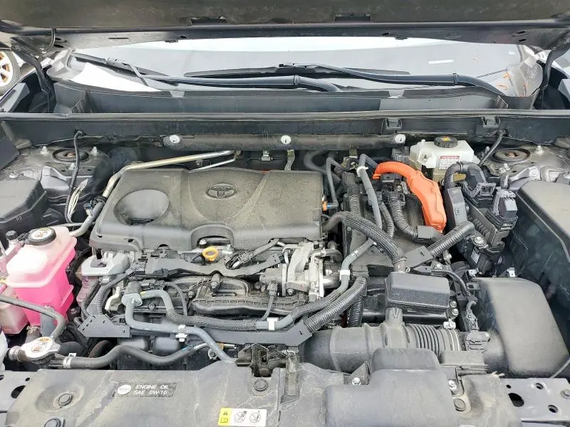 2019 TOYOTA RAV4 XSE  