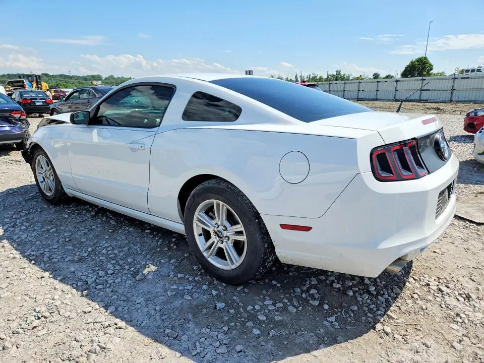 2014 FORD MUSTANG   