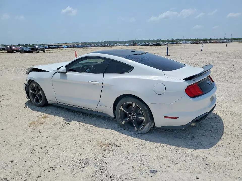 2019 FORD MUSTANG   