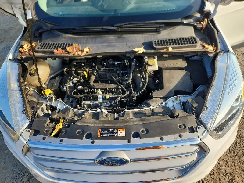 2019 FORD ESCAPE SEL  
