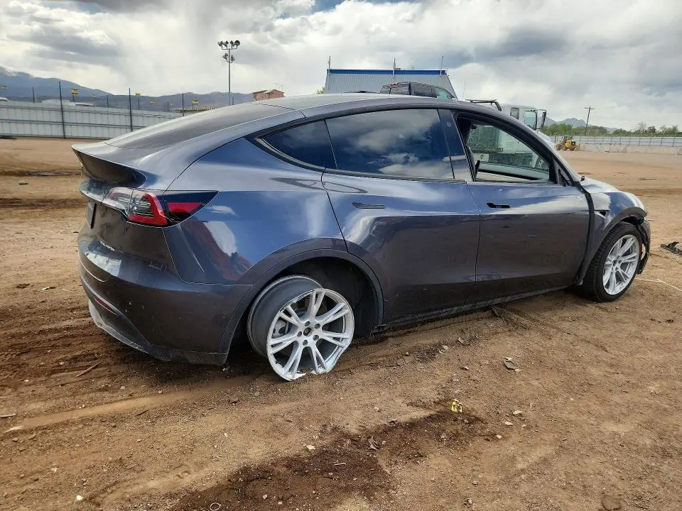 2021 TESLA MODEL Y   