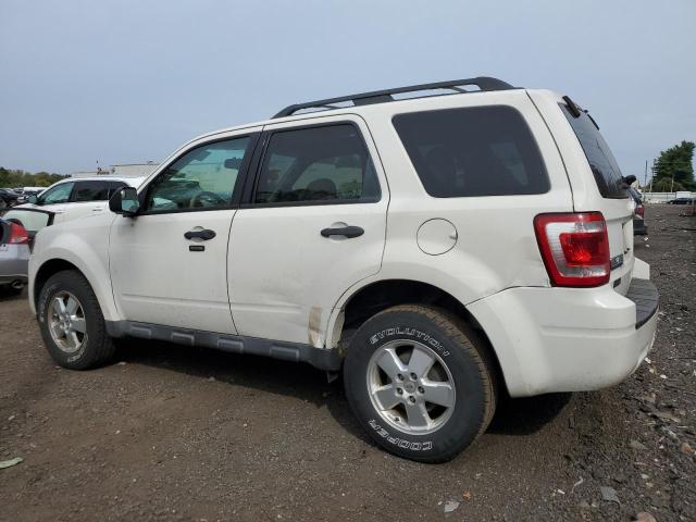 2012 FORD ESCAPE XLT