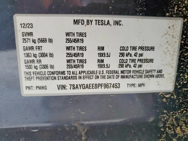 2023 TESLA MODEL Y   