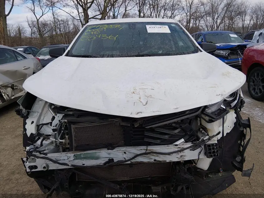 2019 CHEVROLET EQUINOX LS