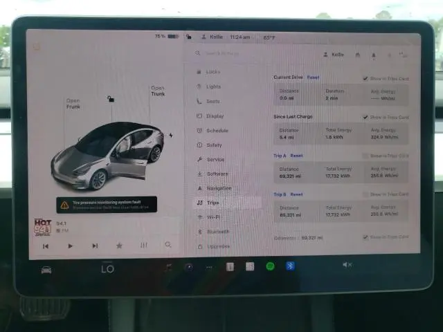 2021 TESLA MODEL 3 