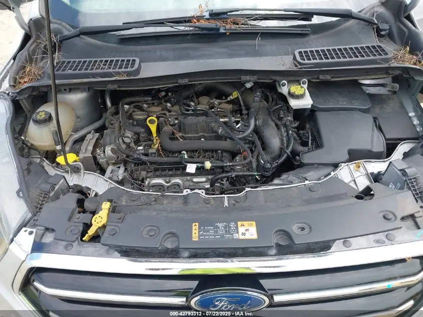 2019 FORD ESCAPE SE
