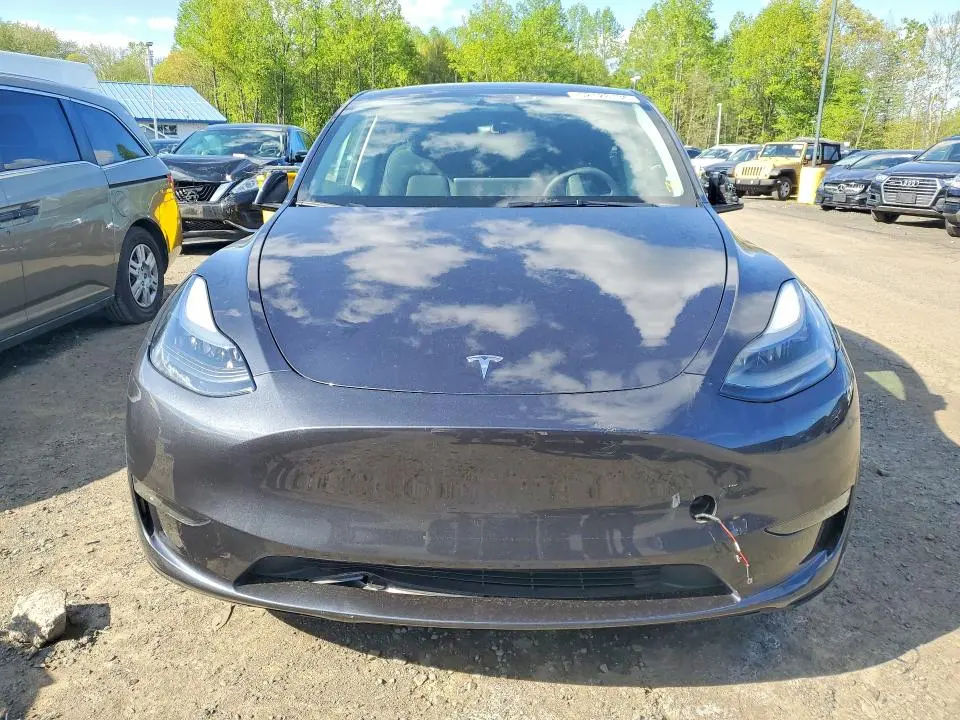 2025 TESLA MODEL Y   