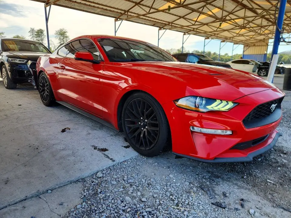 2019 FORD MUSTANG   