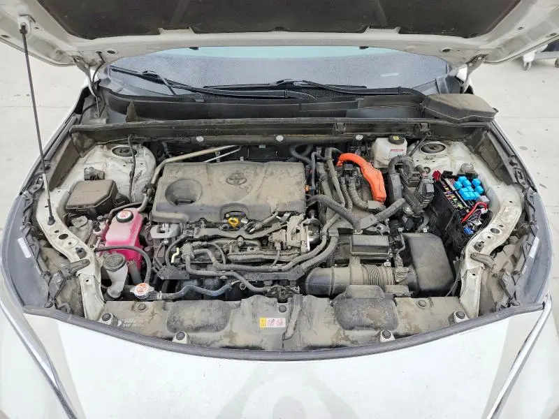 2021 TOYOTA VENZA XLE  