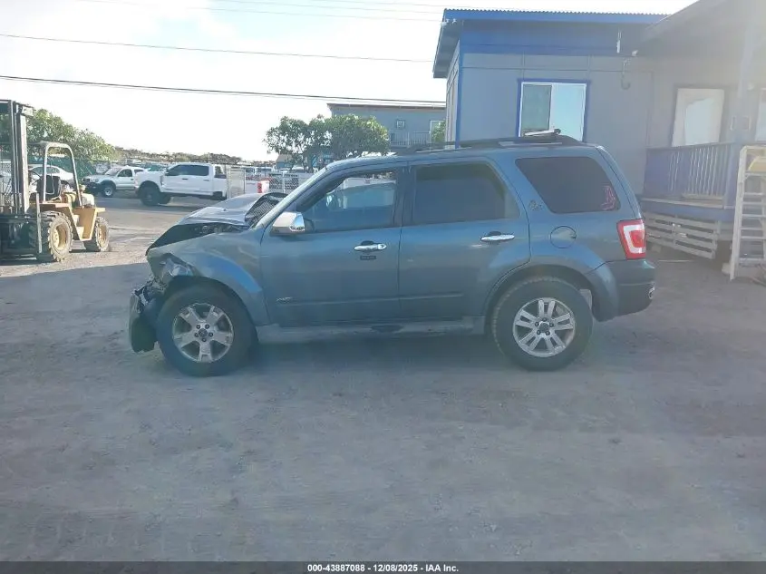 2011 FORD ESCAPE XLT