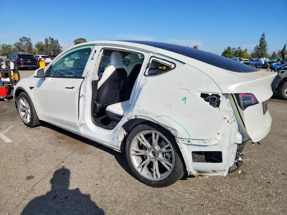 2021 TESLA MODEL Y   