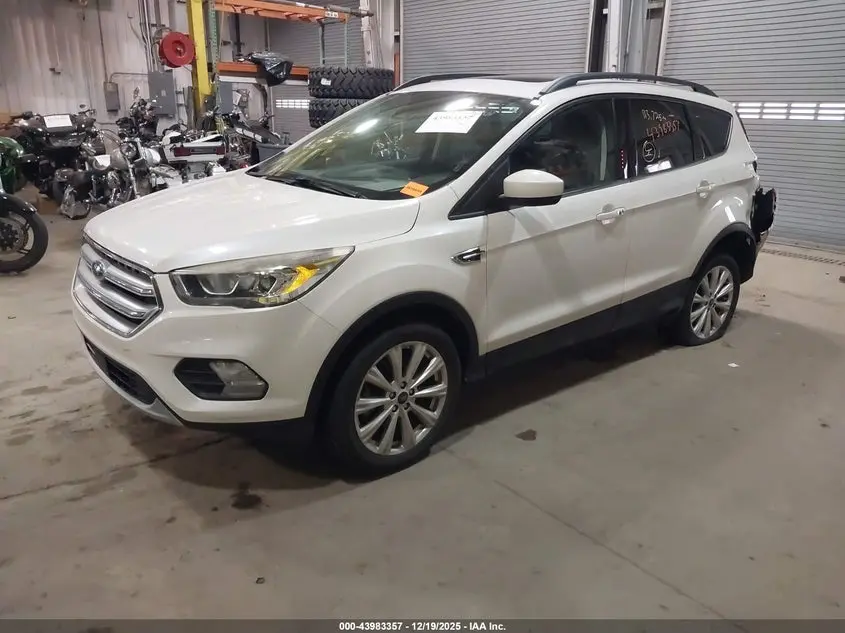 2019 FORD ESCAPE SEL