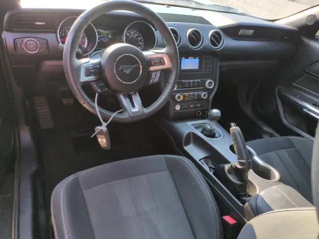 2019 FORD MUSTANG   