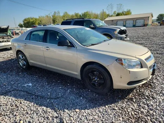 2010 CHEVROLET MALIBU LS  