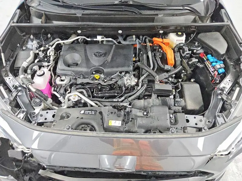 2025 TOYOTA RAV4 XSE  