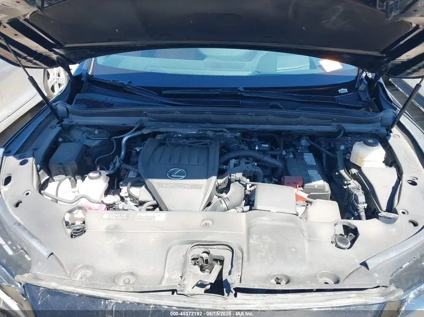 2024 LEXUS RX 350 PREMIUM PLUS