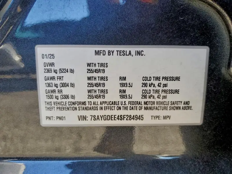 2025 TESLA MODEL Y   
