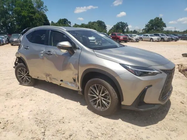 2024 LEXUS NX 250 PREMIUM  