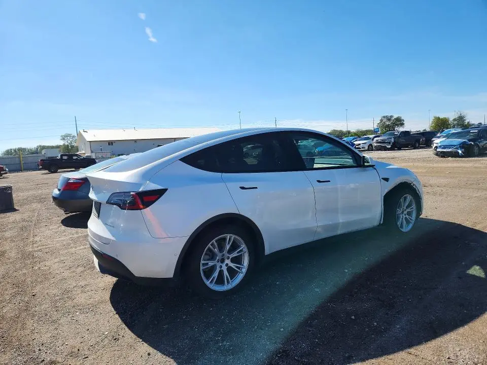 2021 TESLA MODEL Y   