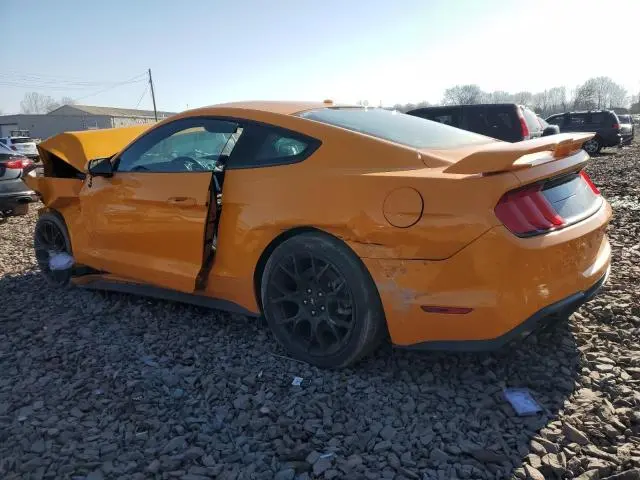 2019 FORD MUSTANG   