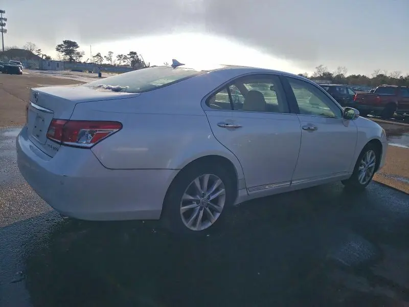 2010 LEXUS ES 350  