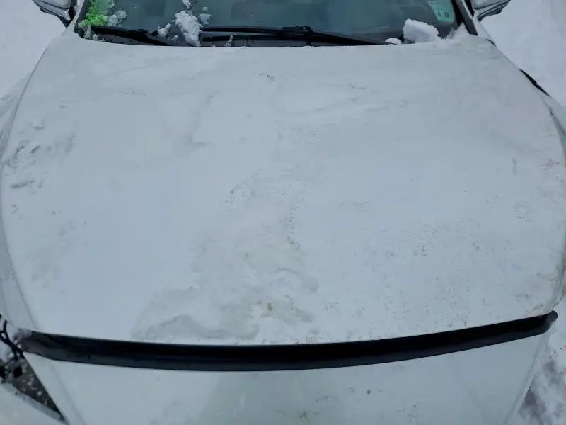 2023 LEXUS RX 350 BASE  