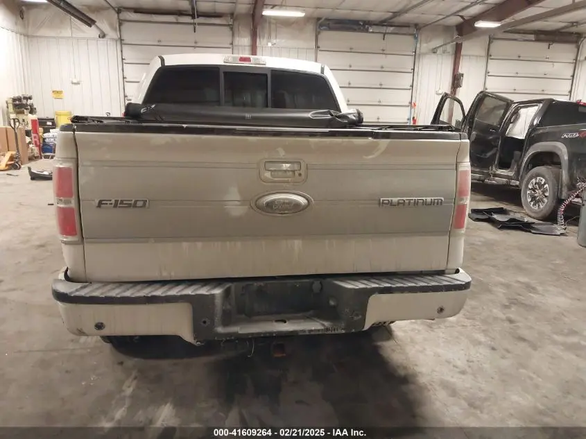 2013 FORD F-150 PLATINUM