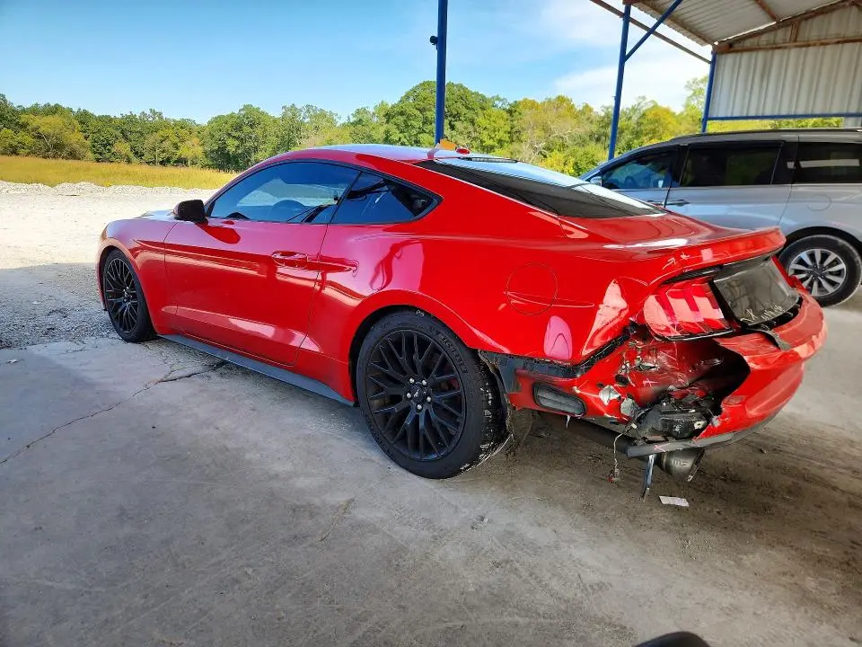 2019 FORD MUSTANG   