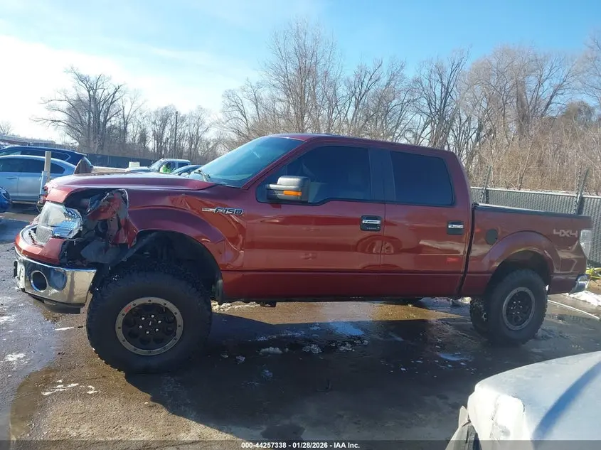 2014 FORD F-150 XLT